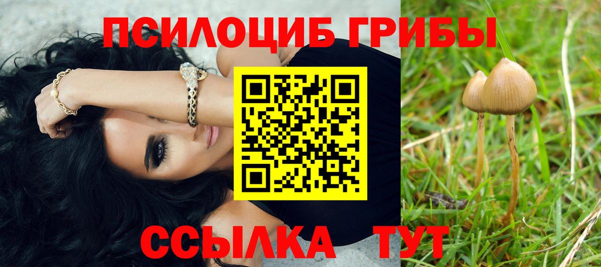 Галлюциногенные грибы Psilocybe  Галлюциногенные грибы Psilocybe  Вход с VPN  Дзержинск 